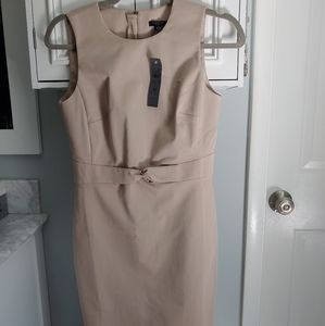 Brand New Ann Taylor Sheath Dress